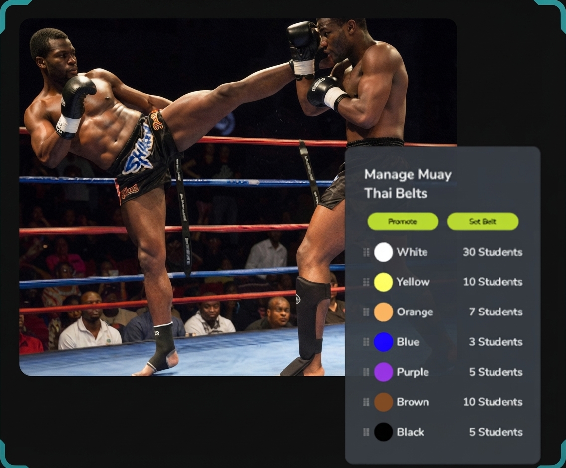 Run Your Dojo Like a Black Belt Business.